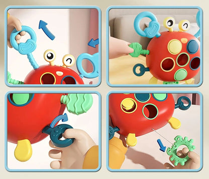 Sensory Krab – Motorisch & Sensorisch Speelgoed 20 cm